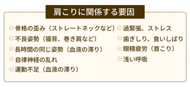 肩こりに関係する要因：骨格の歪み（ストレートネックなど）、過緊張、ストレス、不良姿勢（猫背、巻き肩など）、歯ぎしり、食いしばり、長時間の同じ姿勢（血液の滞り）、眼精疲労（首こり）、自律神経の乱れ、浅い呼吸、運動不足（血流の滞り）